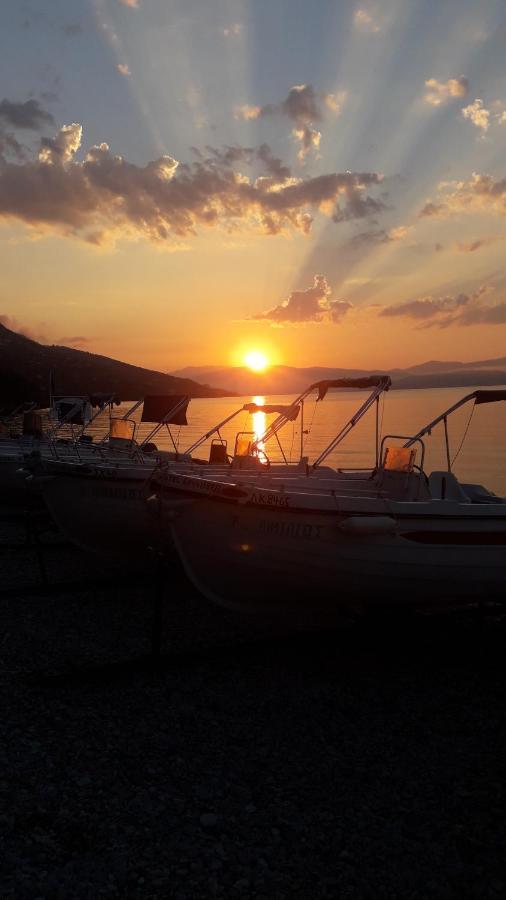 Vasiliki See View Apartments Barbati Exteriér fotografie